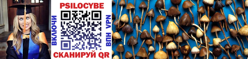 darknet наркотические препараты  Лабытнанги  Псилоцибиновые грибы Magic Shrooms 